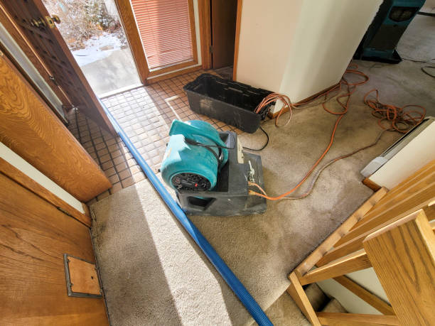  Mountain Iron, MN Water damage restoration Pros