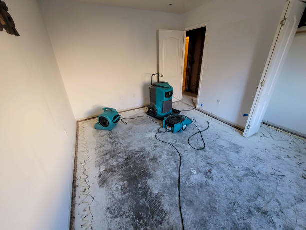Best Fire Damage Restoration  in Mountain Iron, MN