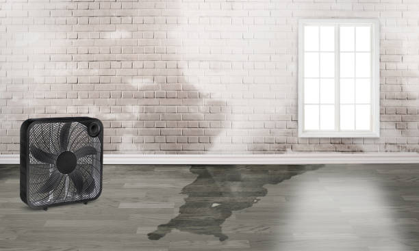 Best Emergency water damage restoration  in Mountain Iron, MN