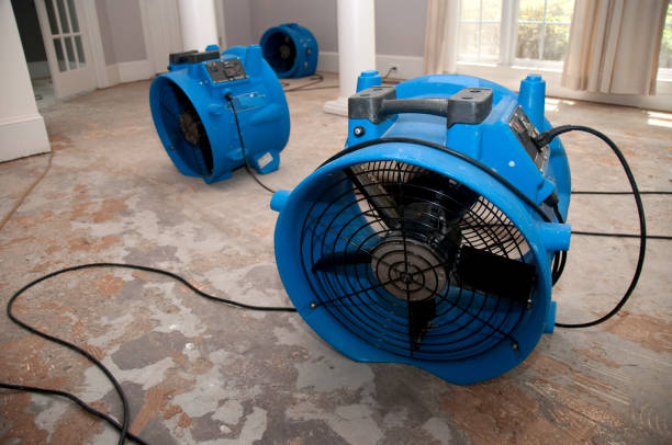 Best Mold removal after water damage  in Mountain Iron, MN