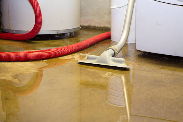 Best Residential water damage restoration  in Mountain Iron, MN